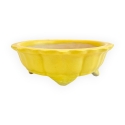 Pot - Kobachi - 10 cm