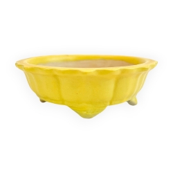 Pot - Kobachi - 10 cm