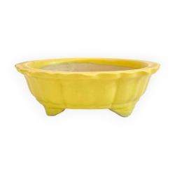 Pot - Kobachi - 10 cm