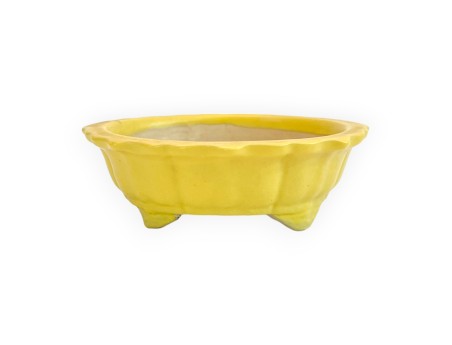 Pot - Kobachi - 10 cm