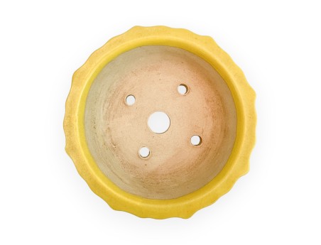 Vaso - Kobachi - 10 cm