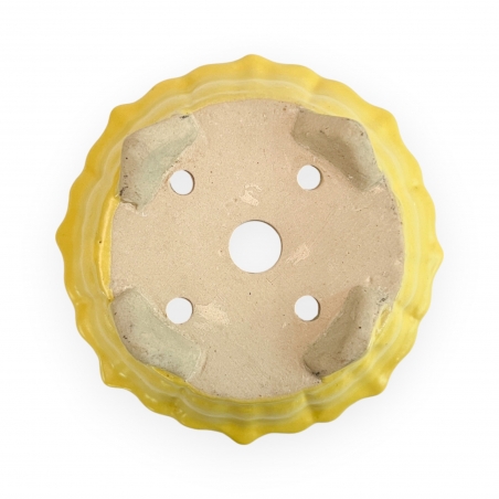 Pot - Kobachi - 10 cm