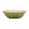 Pot - Shuiming - 13 cm