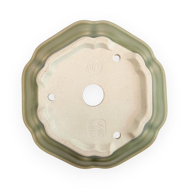 Vaso - Shuiming - 13 cm