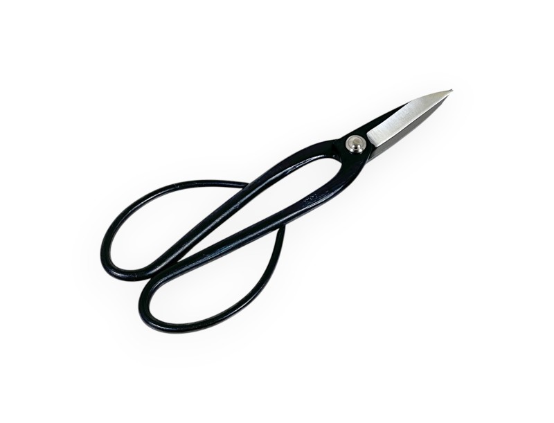 Branch Pruning Scissors with Large Handle - 210 mm
