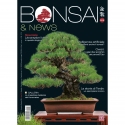 BONSAI & news 206 November-December 2024