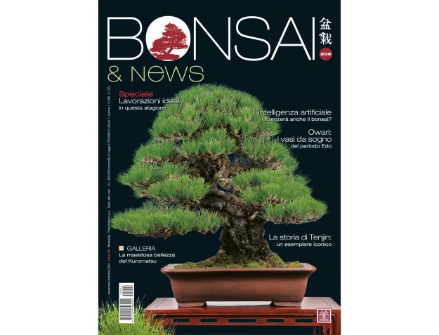 BONSAI & news 206 November-Dezember 2024