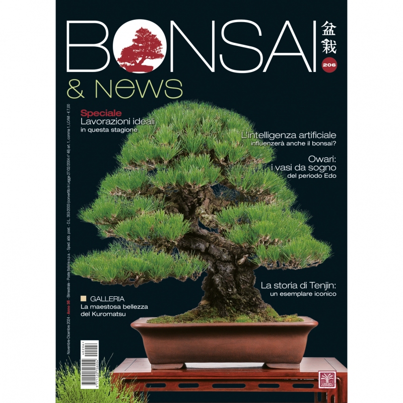 BONSAI & news 206 November-December 2024