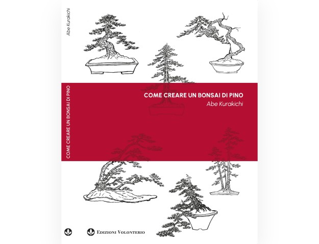 Cómo crear un Bonsái de Pino - A. Kurakichi