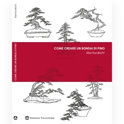 Hoe maak je een dennebonsai - A. Kurakichi