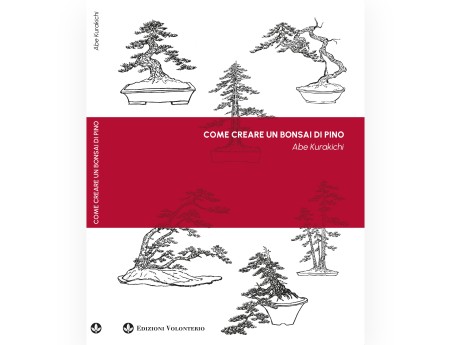 Cómo crear un Bonsái de Pino - A. Kurakichi
