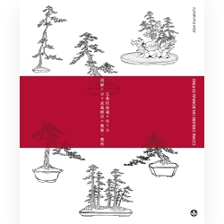 Hoe maak je een dennebonsai - A. Kurakichi