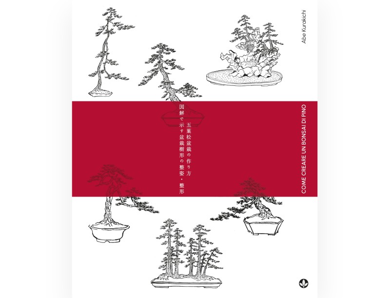 So erstellen Sie einen Kiefernbonsai – A. Kurakichi