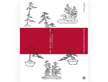 Come creare un Bonsai di Pino - A. Kurakichi