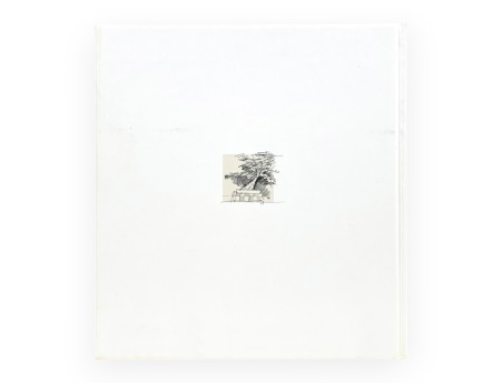 Bonsai Suiseki suggestioni - Ed.Casani e Volonterio - Ed.vintage