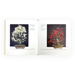 Bonsai Suiseki suggestioni - Ed.Casani e Volonterio - Ed.vintage