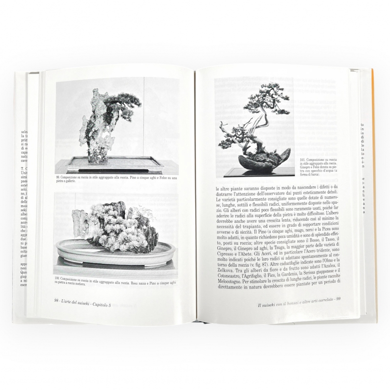L' Arte del Suiseki - V.T.Covello -Y.Yoshimura
