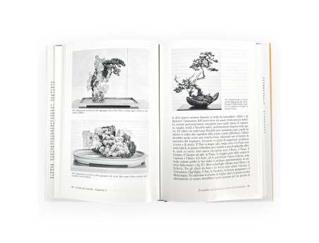 l-arte-del-suiseki-libro