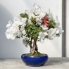 Rhododendron Indicum - Azalea - 45 cm