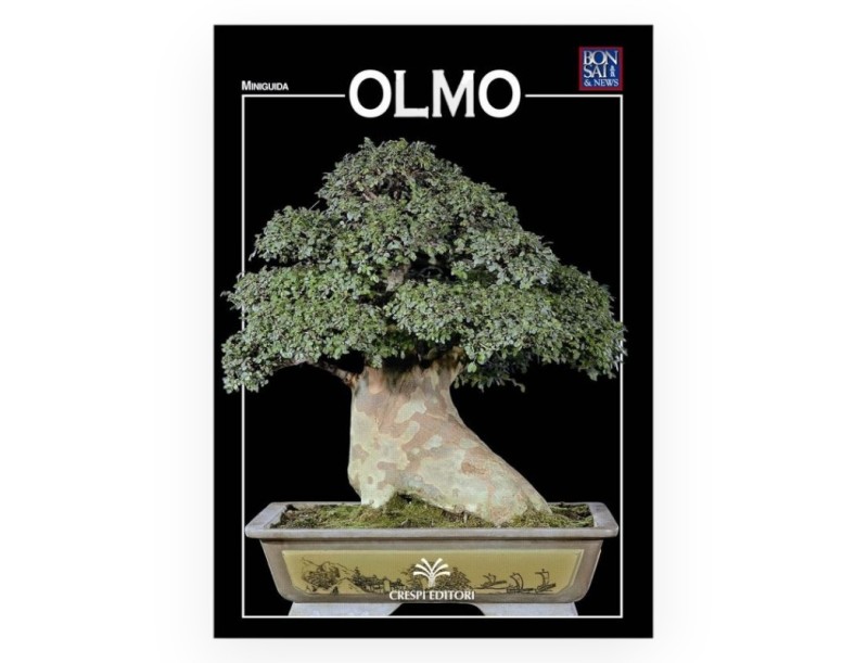 Set Orme & Mini-guide