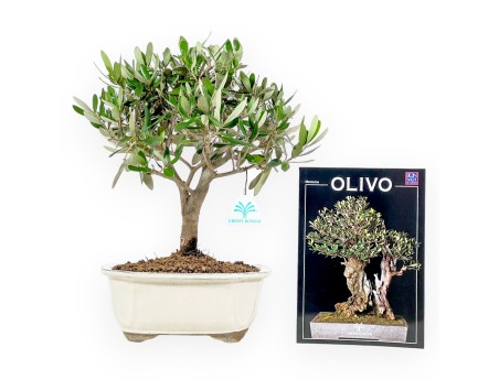 Set Olivier & Mini-guide