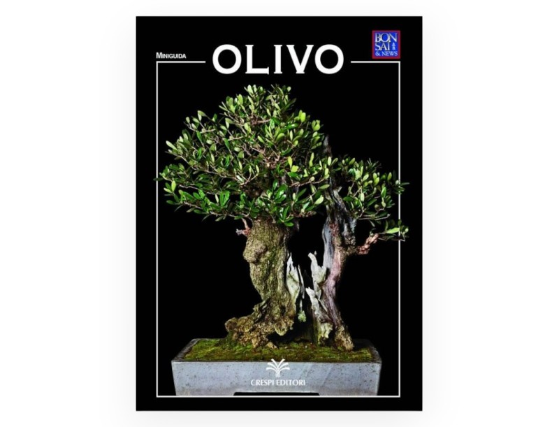 Set Olivier & Mini-guide