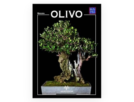 Olive Set & Miniguide