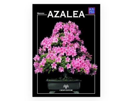 Set Azalea & Miniguida