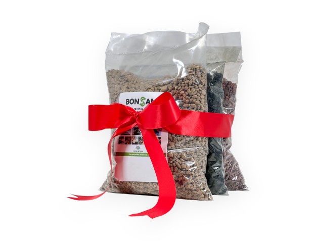 Set sols Ponce & Lapillus & Bambou 2