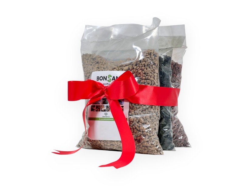 Set erden Bimsstein & Lapilli & Bambuskohle