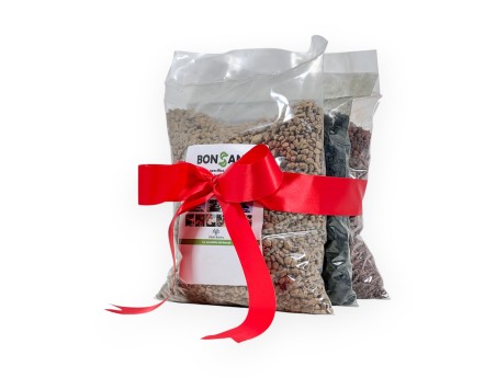 Set sols Ponce & Lapillus & Bambou