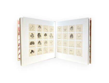 Set Bonsai Book Suiseki suggestions & Furoshiki 68 cm