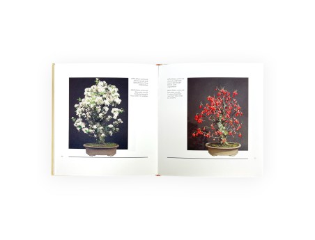 Set Libro Bonsai Suiseki suggestioni & Furoshiki 68 cm