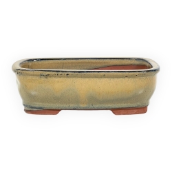 Pot 18,5 cm rectangulaire vert