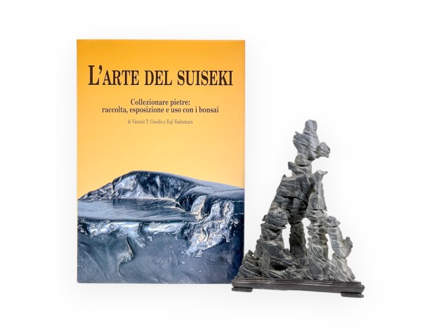 Set Suiseki & L'Arte del Suiseki