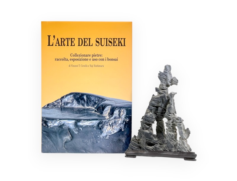 Suiseki & L'Arte del Suiseki Set