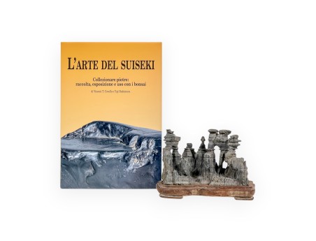 Set Suiseki & L'Arte del Suiseki