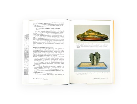 Set Suiseki y L'Arte del Suiseki