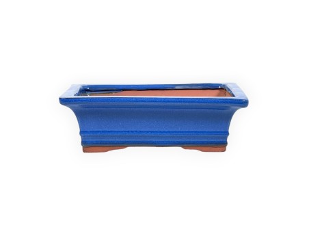 Topf 20,5 Rechteckige blaue