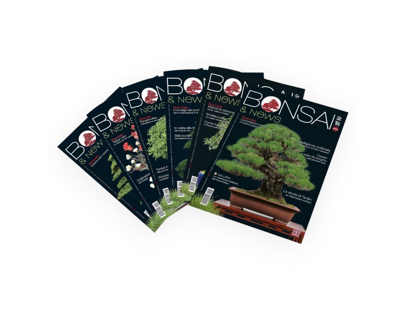 Set Suscripción anual & límite de protección de invierno