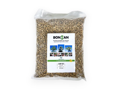 Hyuga Bimsstein - 1,6 lt