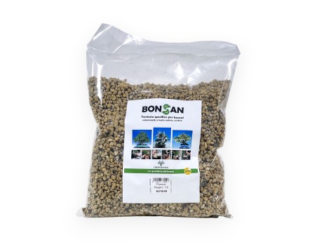 Piedra pómez Hyuga - 1,6 lt