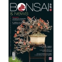 BONSAI & news 207 januari-februari 2025