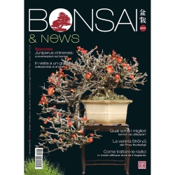 BONSAI & news 207 enero-febrero 2025