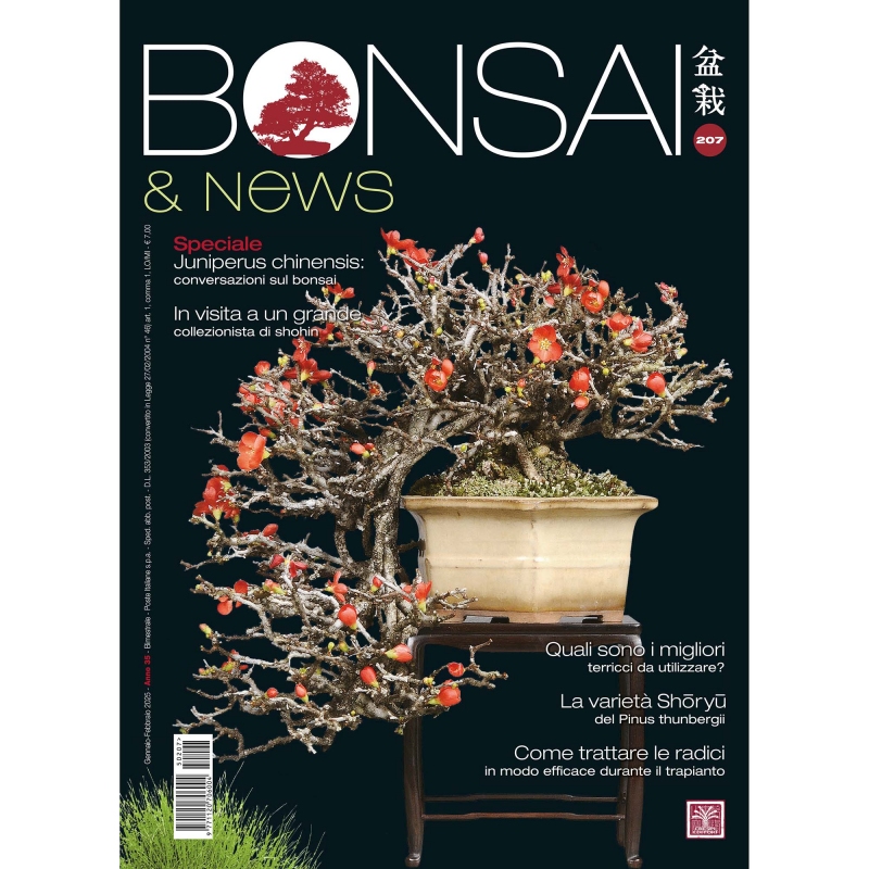 BONSAI & news 207 januari-februari 2025
