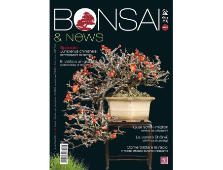 BONSAI & news 207 januari-februari 2025