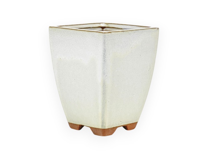 Topf 11,5 cm quadratisch beige