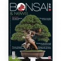 BONSAI & news 208 Maart-april 2025