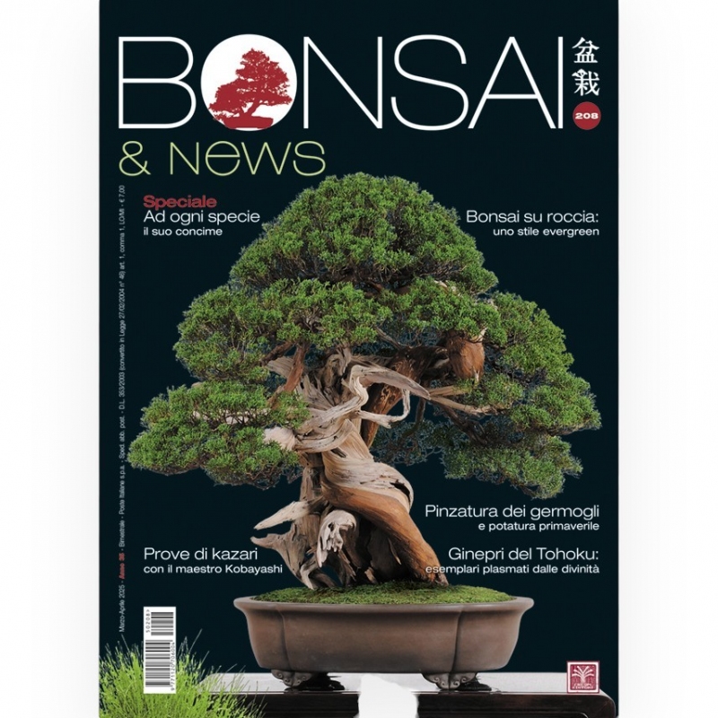 BONSAI & news 208 Mars-avril 2025