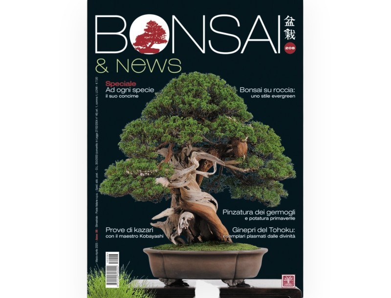 BONSAI & news 208 marzo-aprile 2025